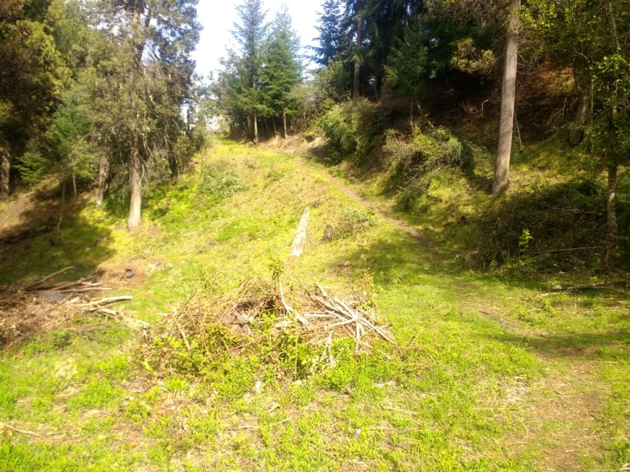 Terreno en El Bolsón - 65000