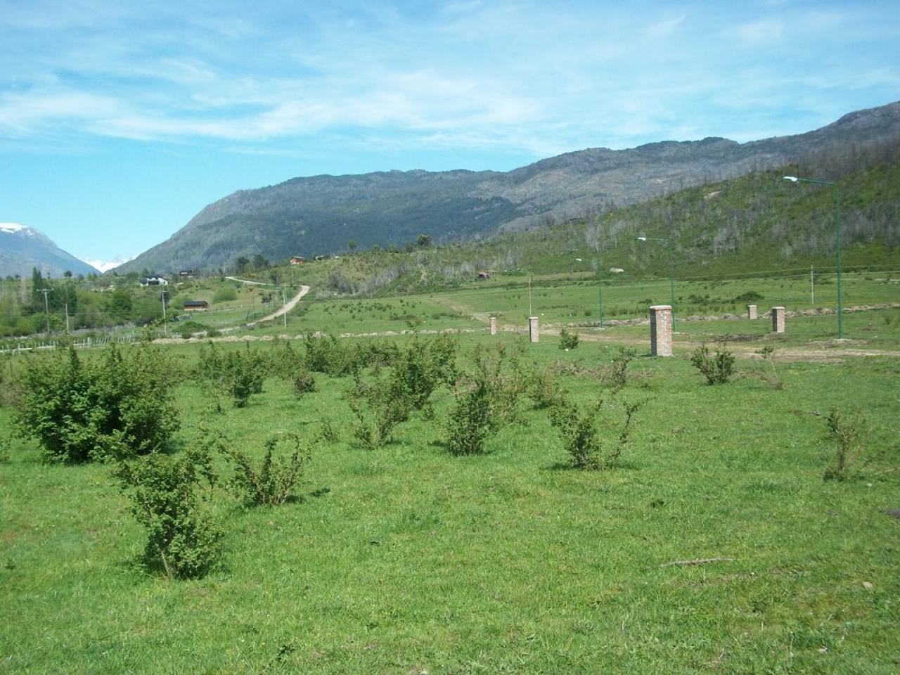 Terreno en El Hoyo - 20000