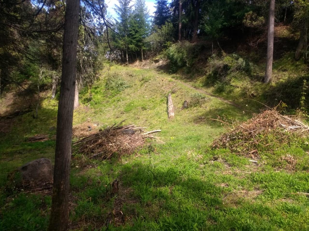 Terreno en El Bolsón - 65000