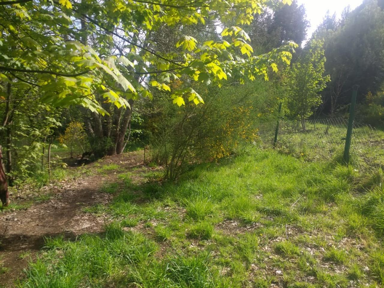 Terreno en El Bolsón - 70000