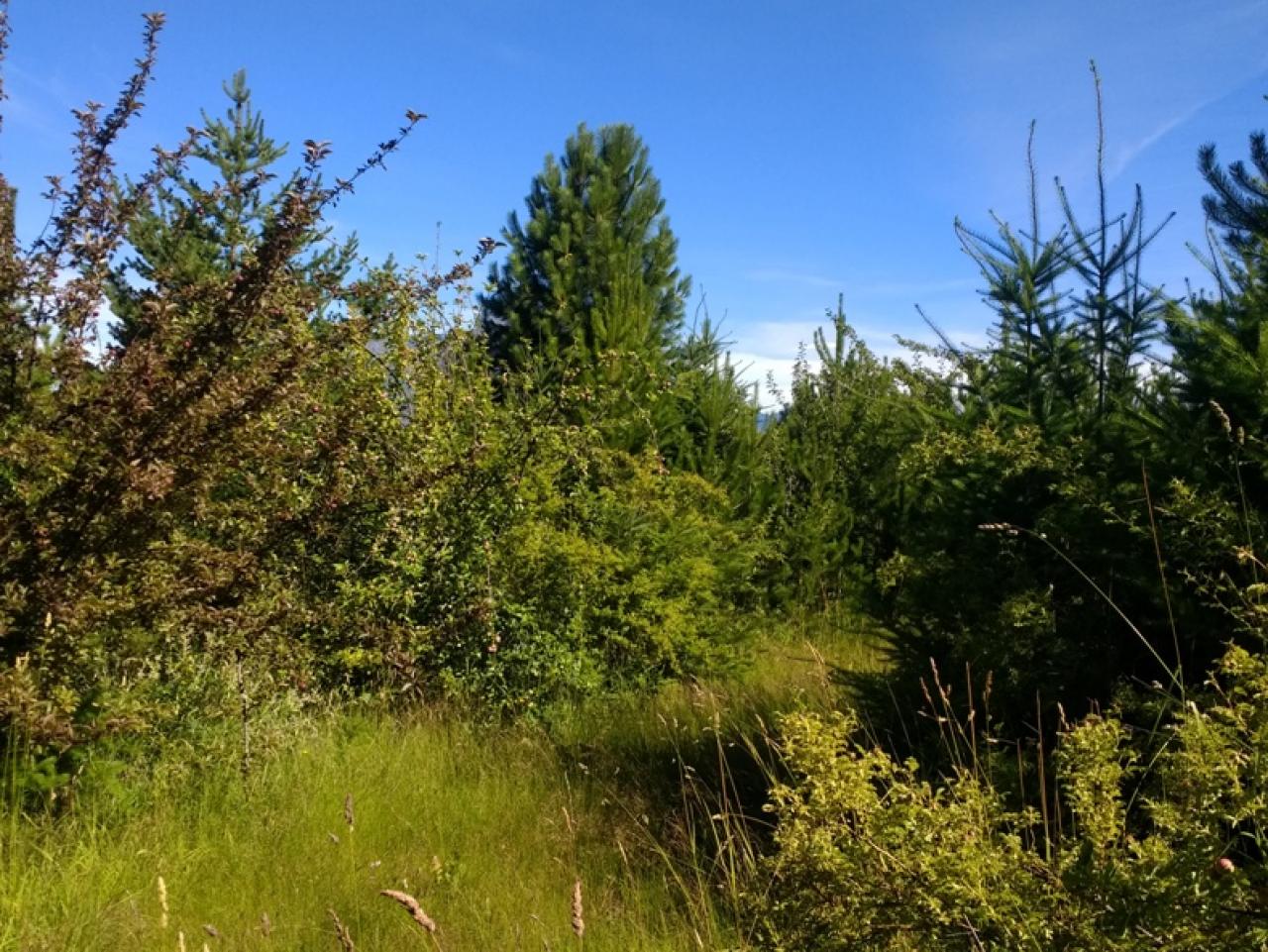 Terreno en Las Golondrinas Lago Puelo - 26000