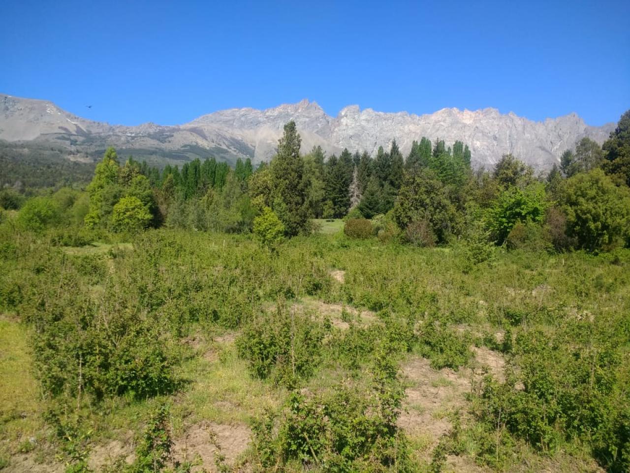 Terreno en El Bolsón - 70000