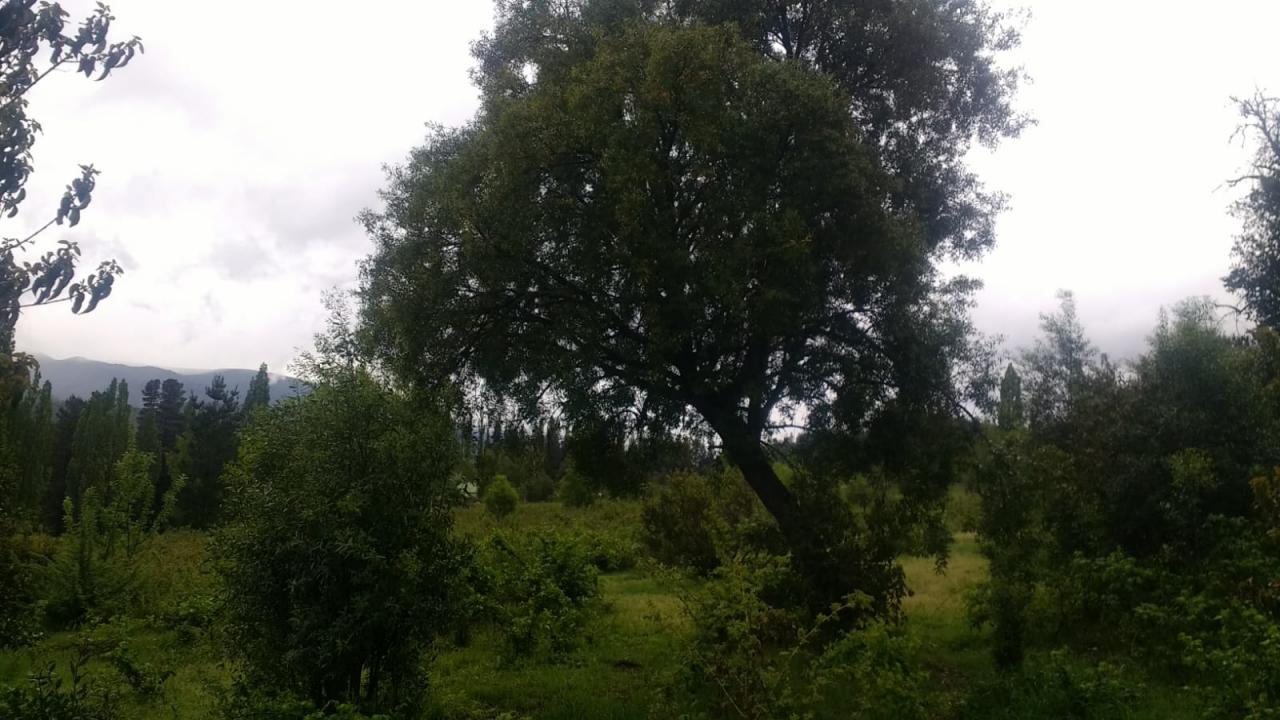 Terreno en El Bolsón - 80000