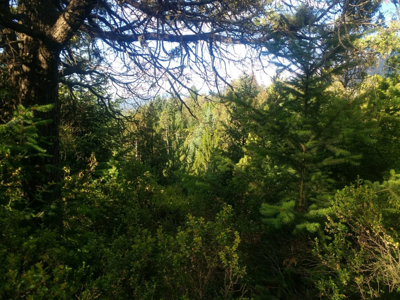 Terreno en El Bolsón - 27000