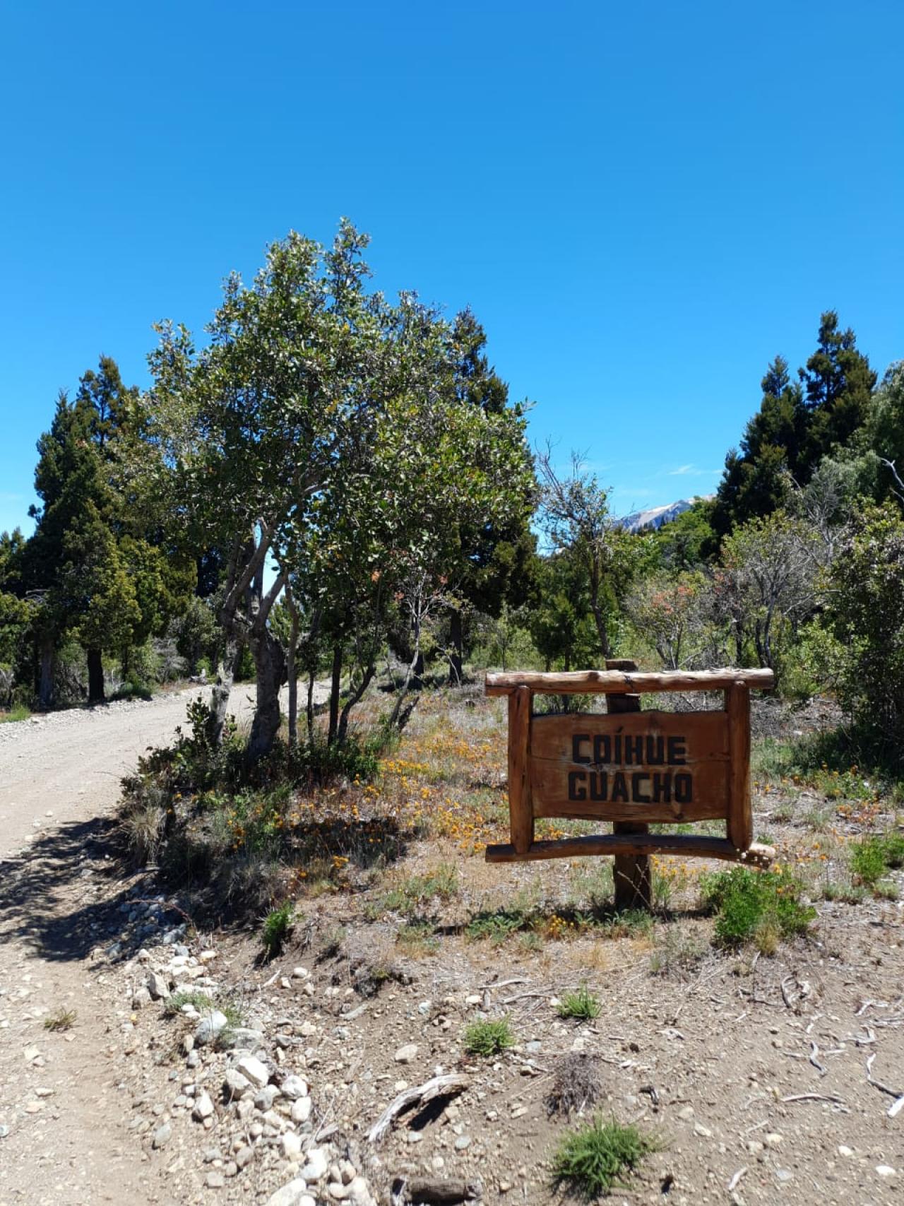 Terreno en Cholila - 60000