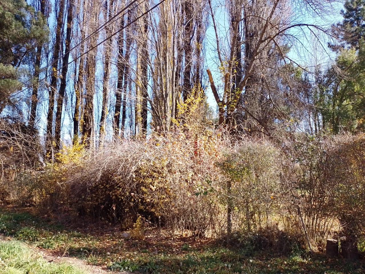 Terreno en El Bolsón - 80000