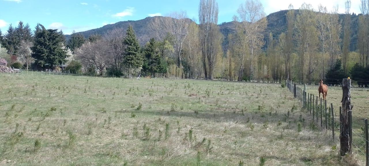 Terreno en Cerro Radal - 90000