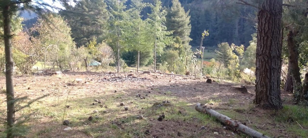 Terreno en Cerro Radal - 39500