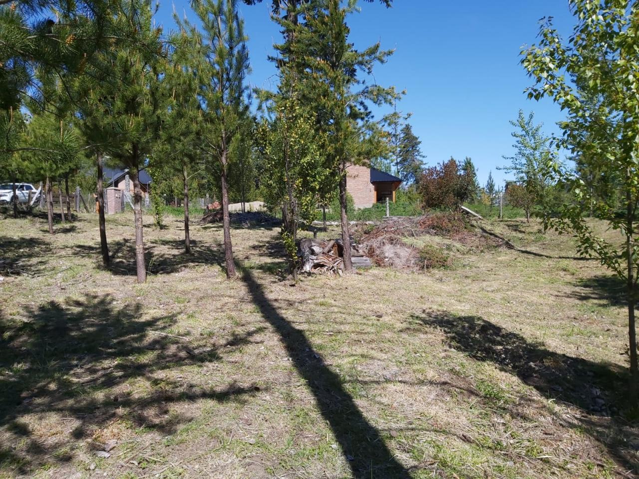 Terreno en Cerro Radal - 50000