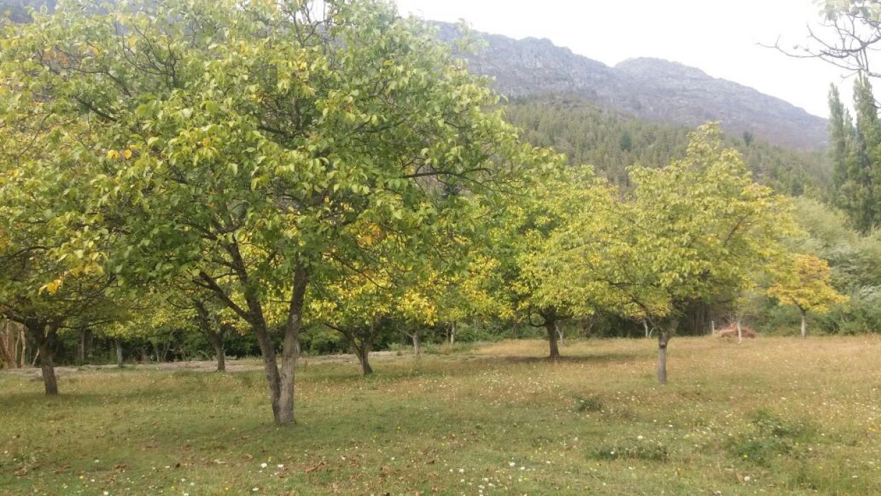 Terreno en Lago Puelo - 29000