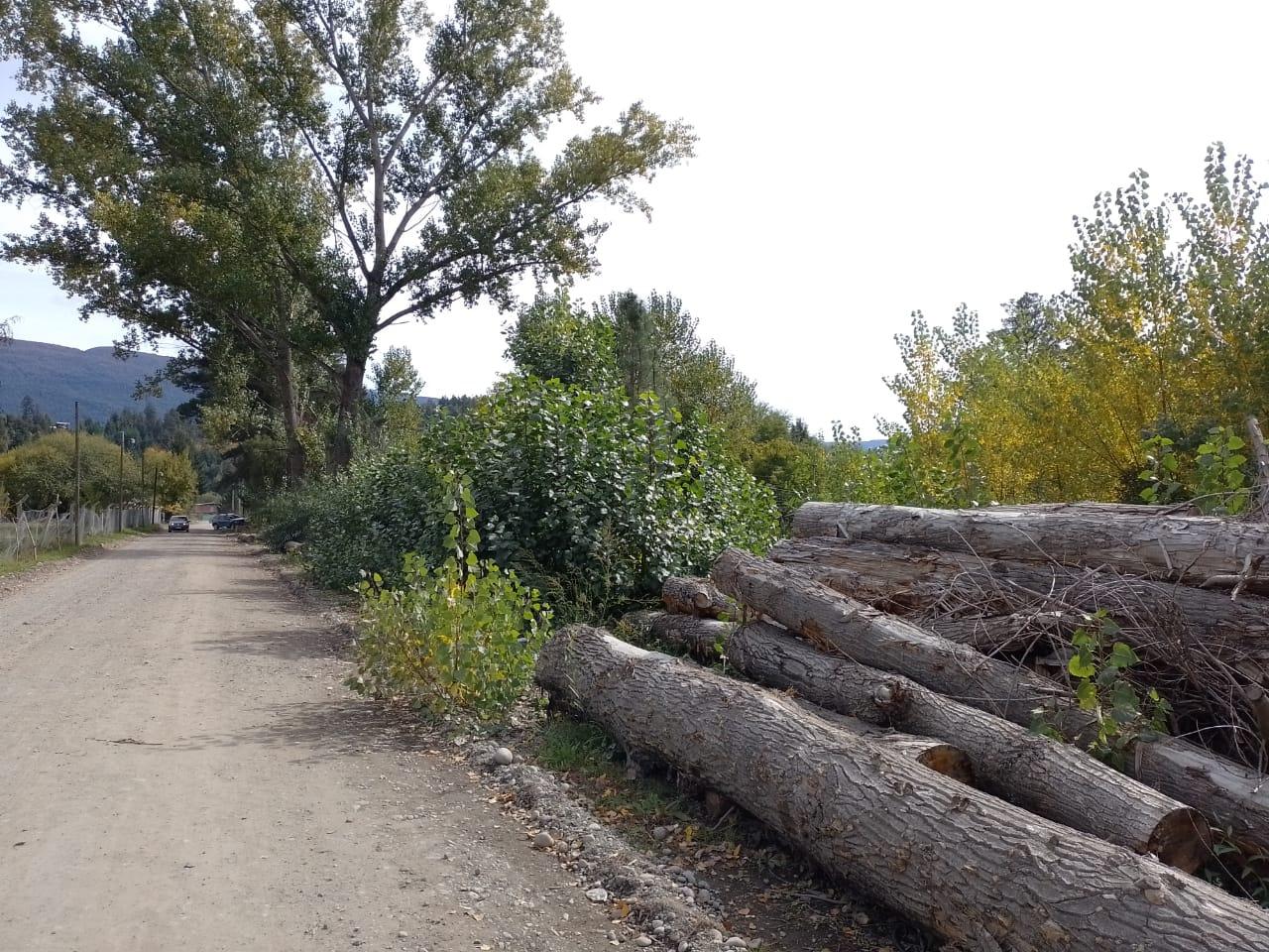 Terreno en El Bolsón - 25000