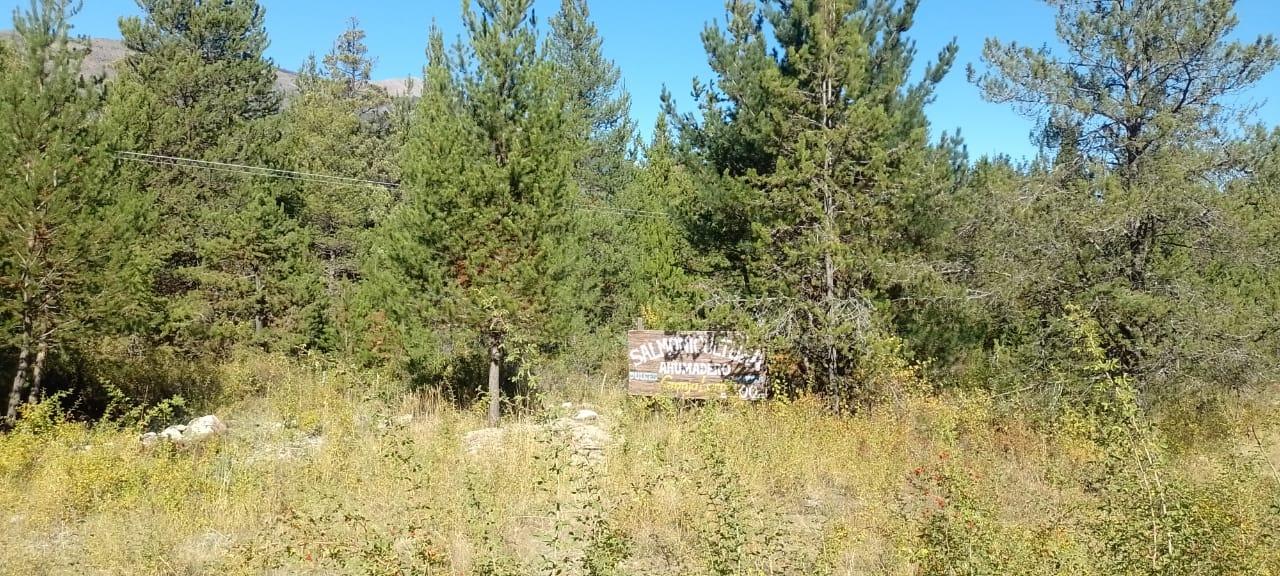 Terreno en El Bolsón - 40000