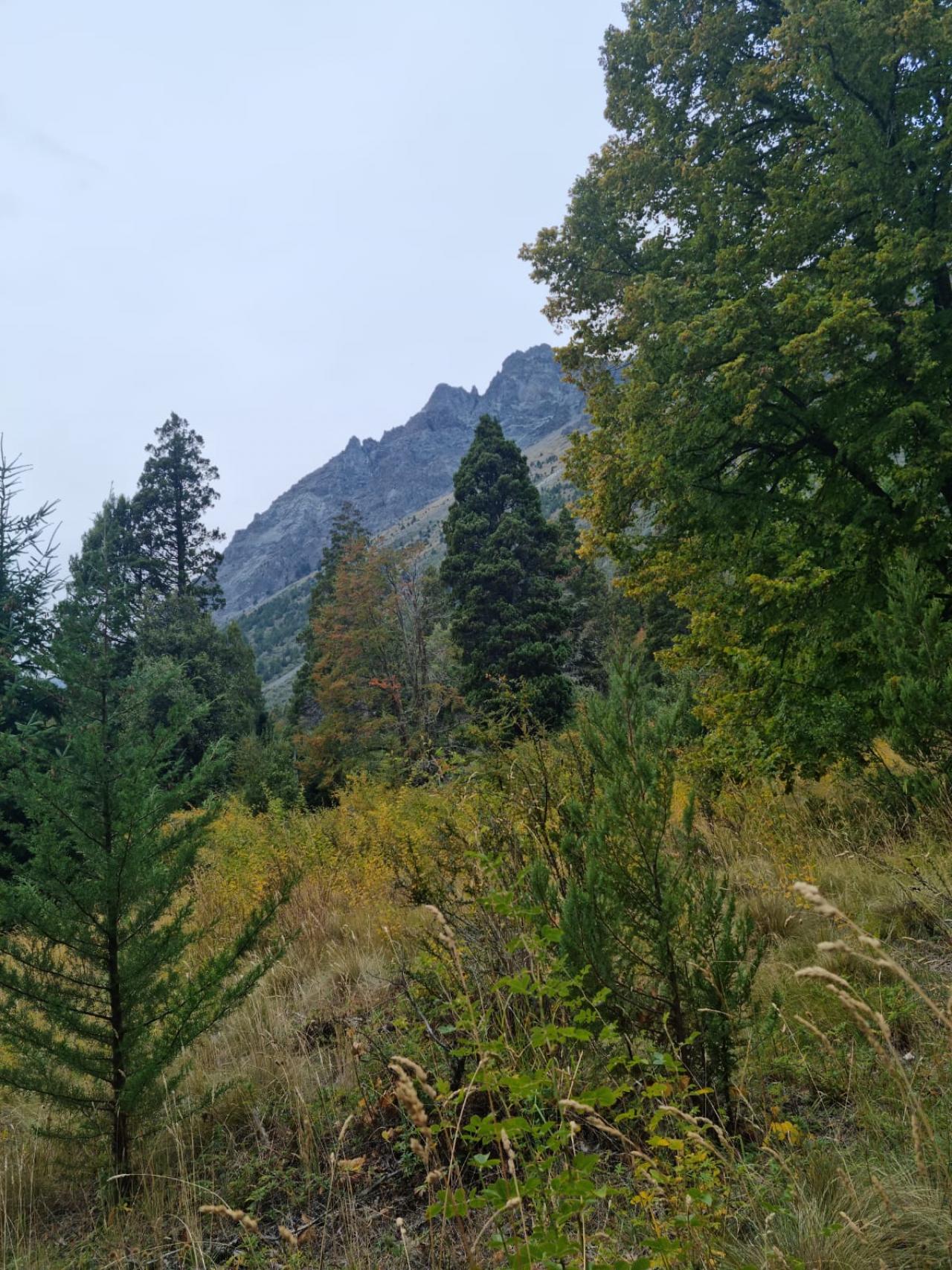 Terreno en Las Golondrinas Lago Puelo - 185000