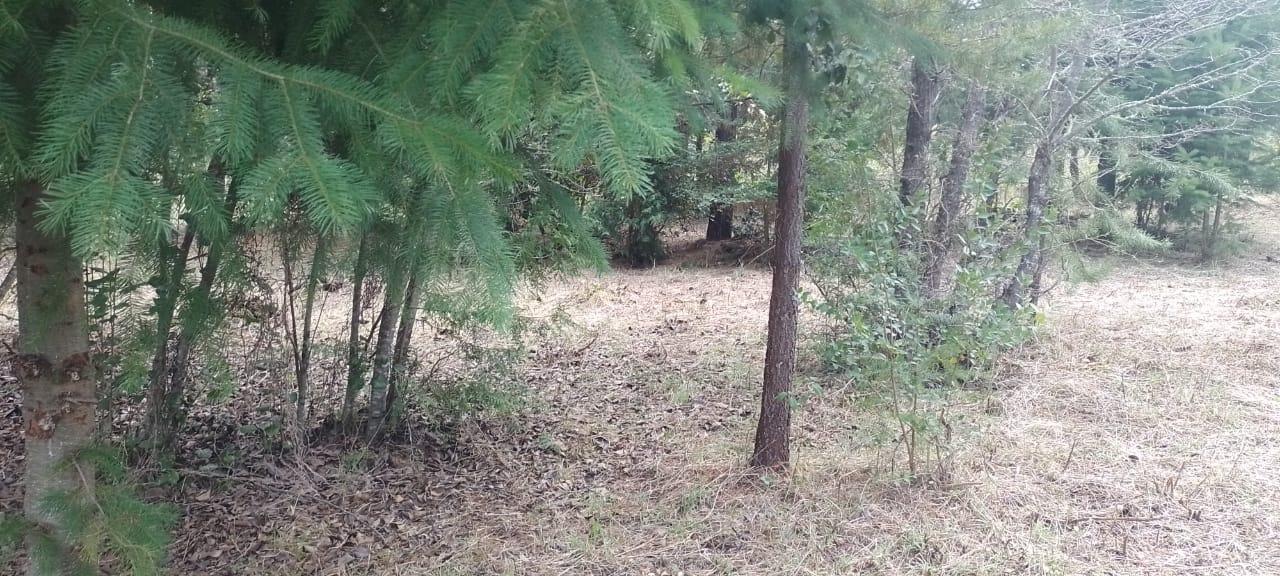 Terreno en El Bolsón - 60000