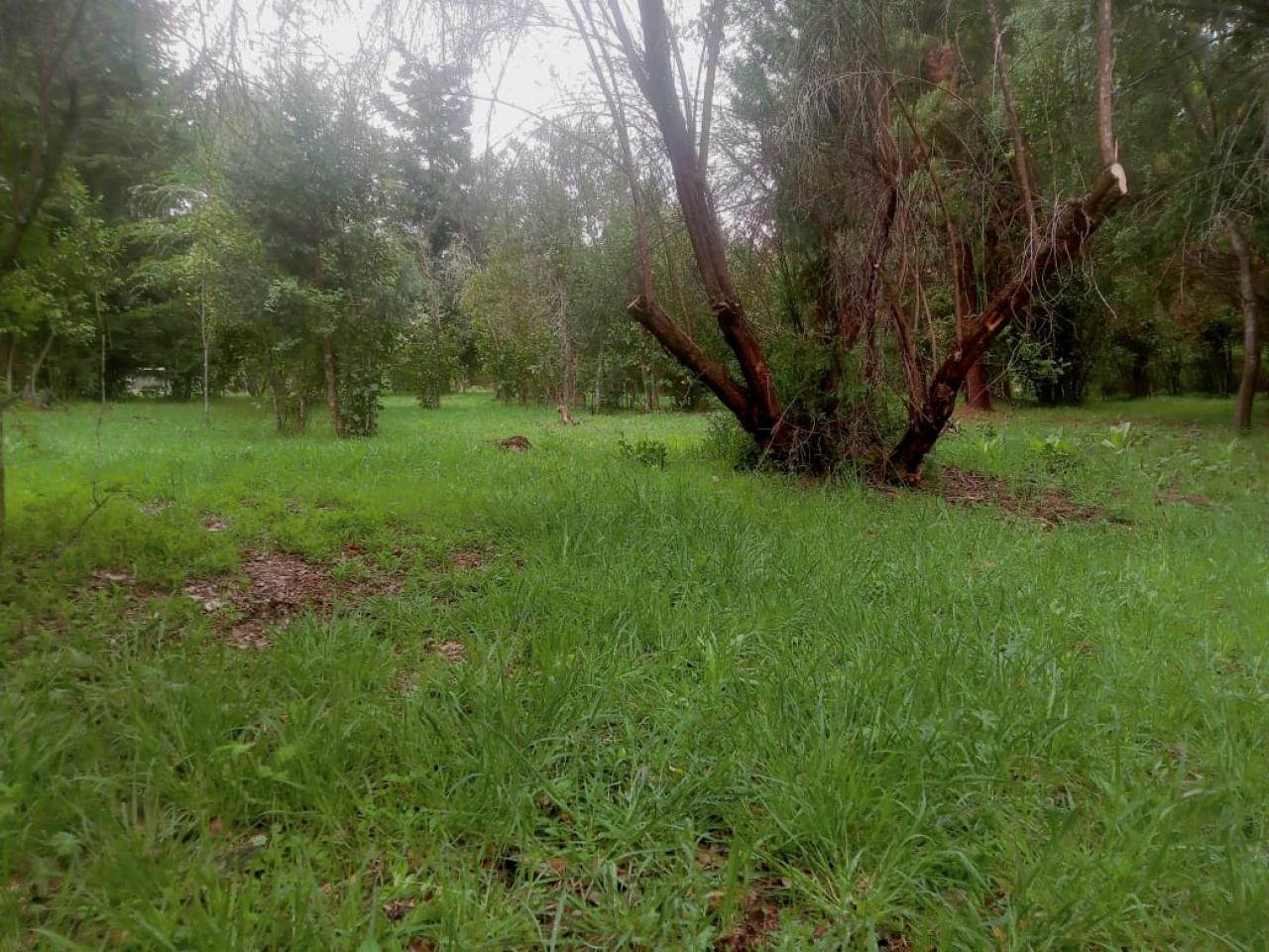 Terreno en El Bolsón - 70000