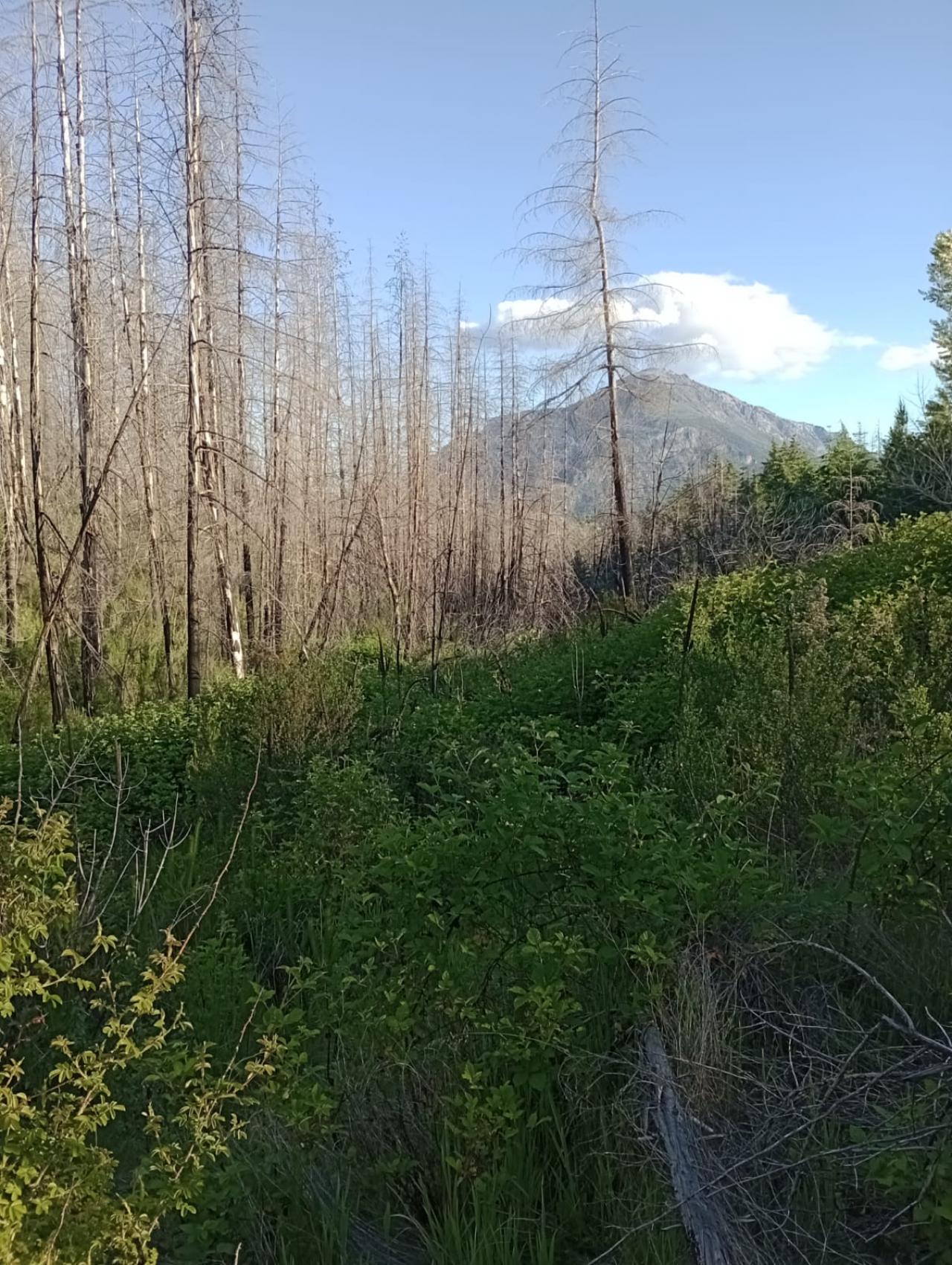 Terreno en Lago Puelo - 180000