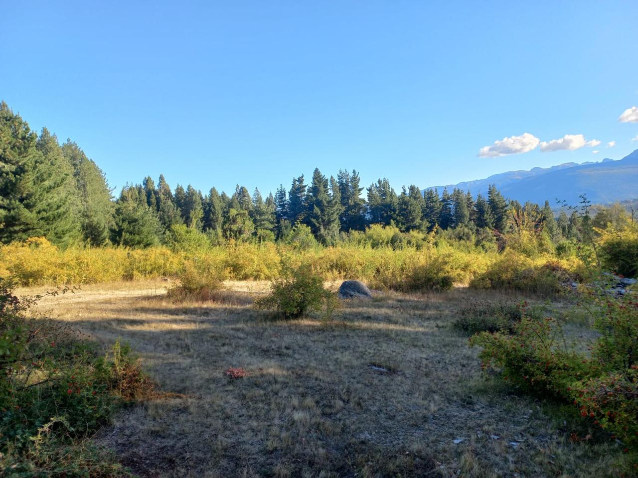 Terreno en El Bolsón - 133500