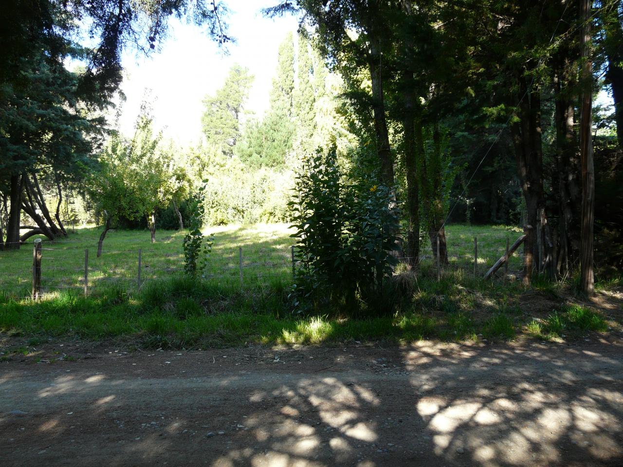 Terreno en Las Golondrinas - 50000