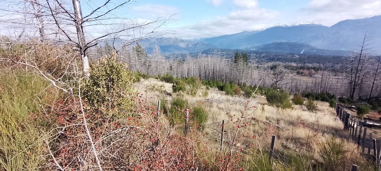 Terreno en Lago Puelo - 135000