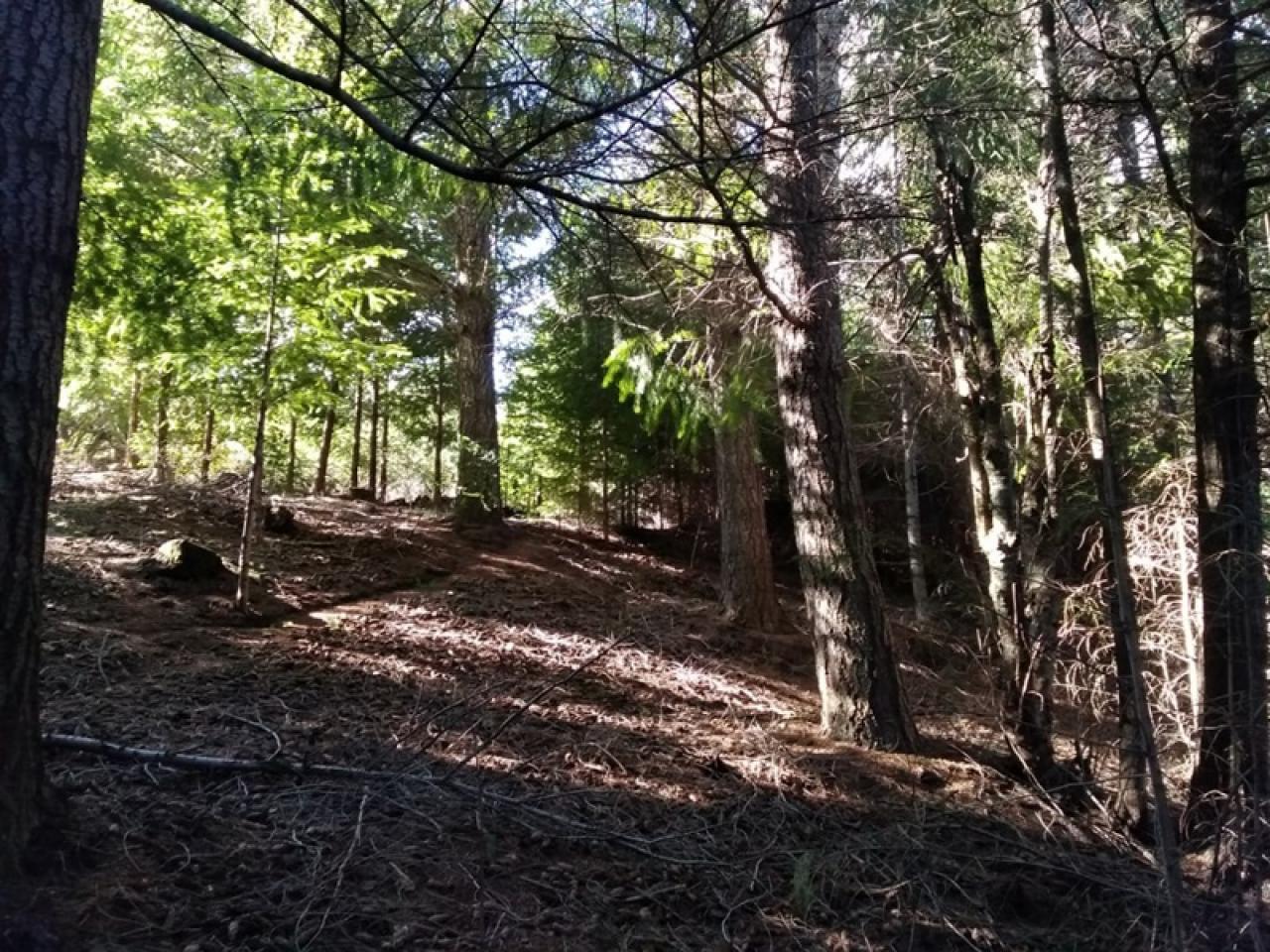 Terreno en Lago Puelo - 35000